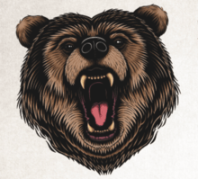 Je tu kríza. Je tu bear market. Teraz čo?